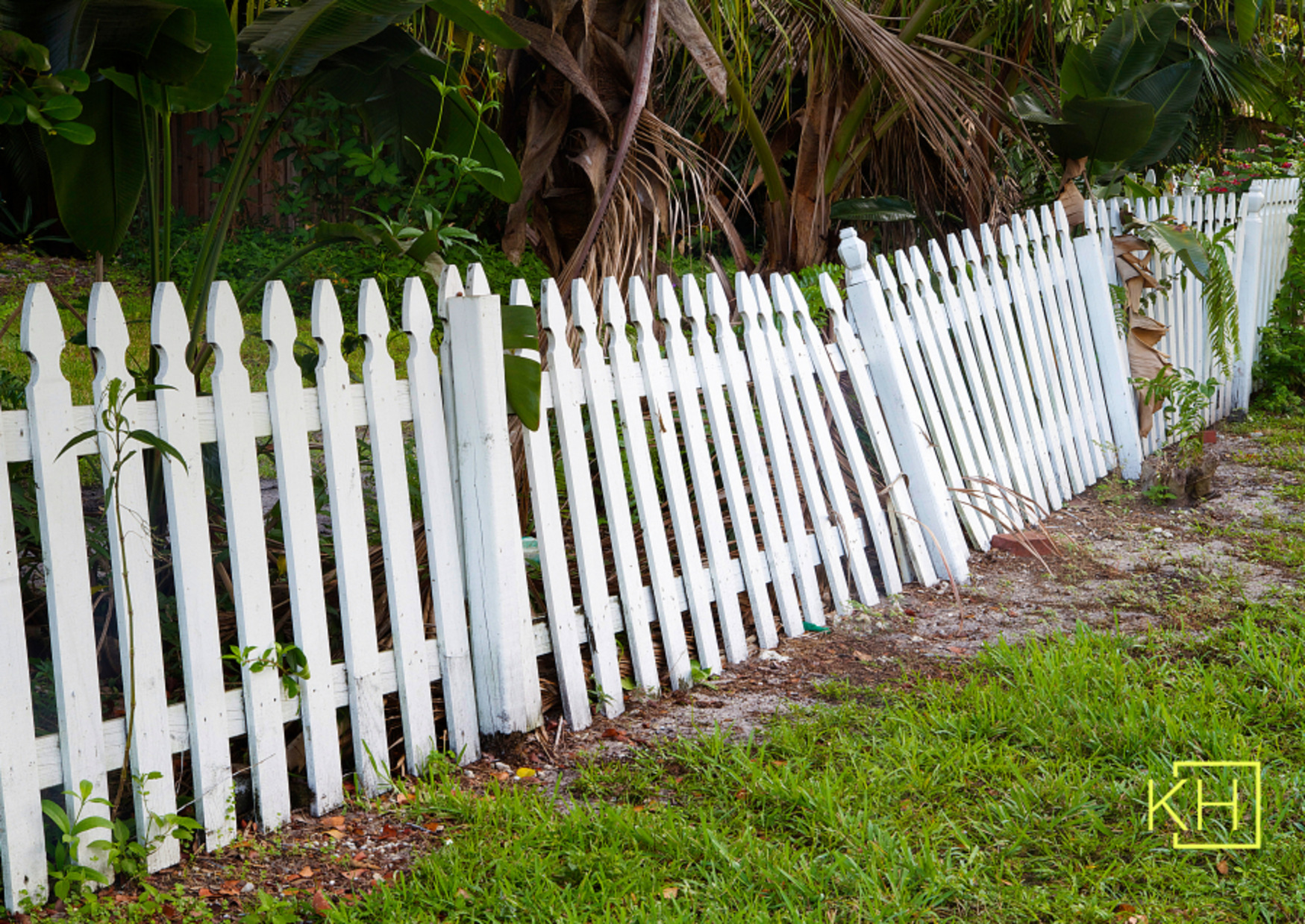 Fence Removal