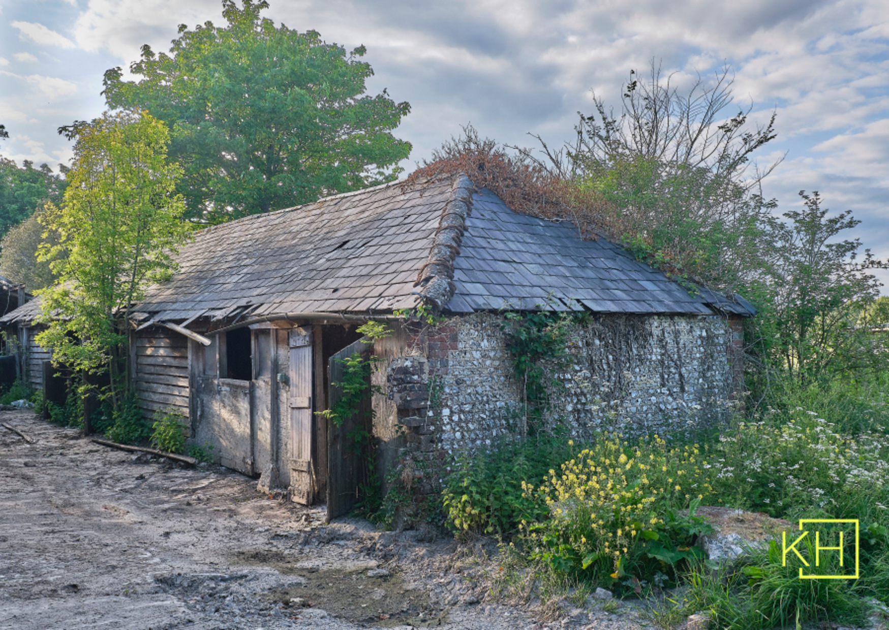 Shed Removal